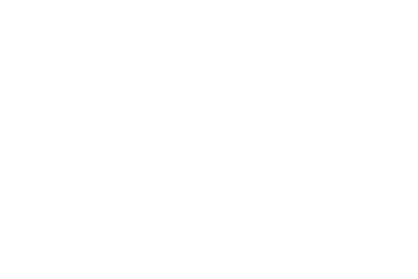 Evey Kwong — Art Direction and Graphic Design