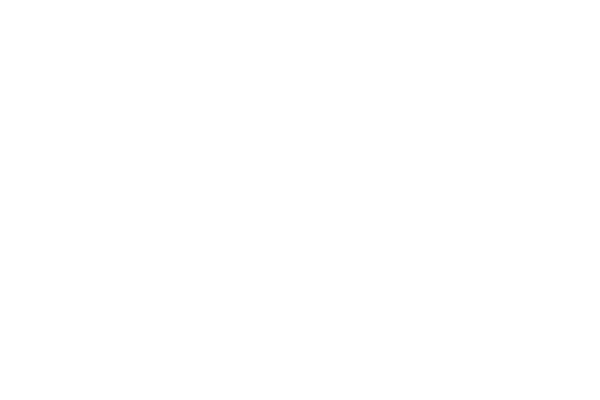 Evey Kwong — Art Direction and Graphic Design