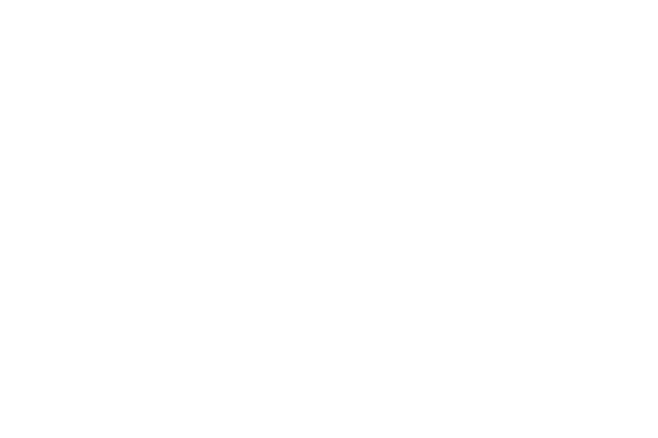 Evey Kwong — Art Direction and Graphic Design