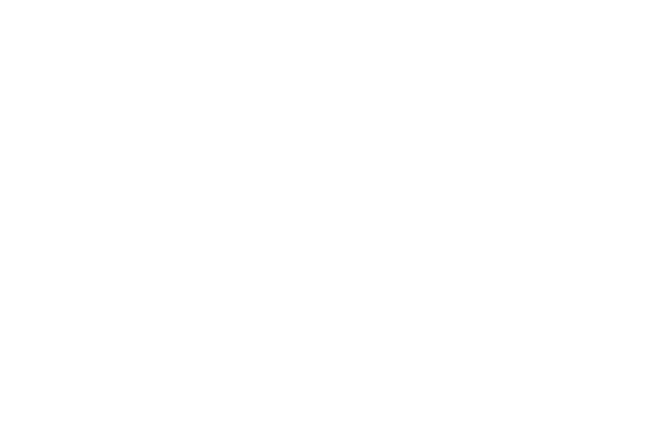 Evey Kwong — Art Direction and Graphic Design