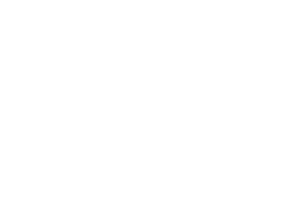 Evey Kwong — Art Direction and Graphic Design