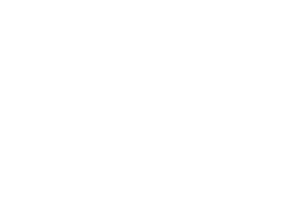 Evey Kwong — Art Direction and Graphic Design